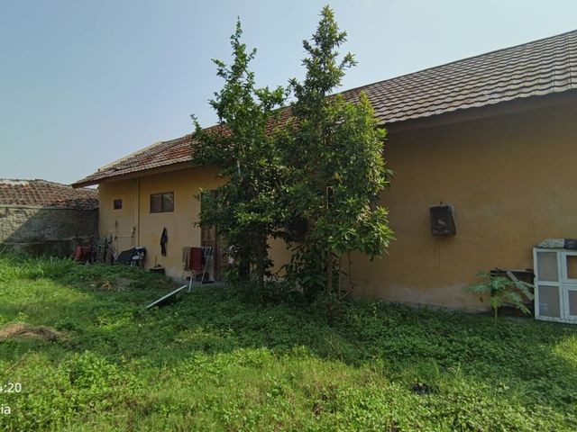 place photo 13