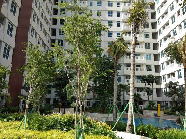 place photo 19