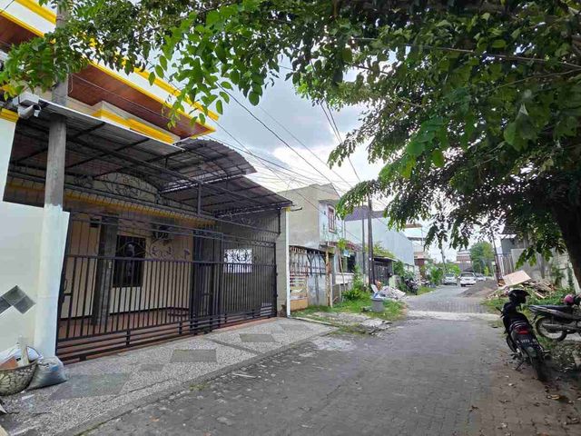 place photo 17