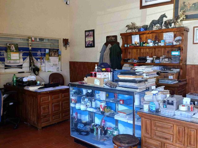 place photo 15