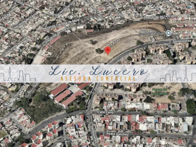 place photo 10