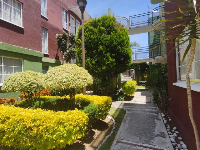 place photo 18