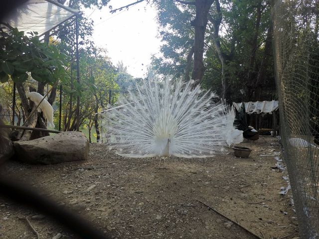 place photo 28