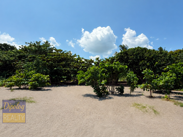 place photo 21