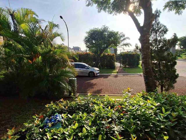 place photo 19