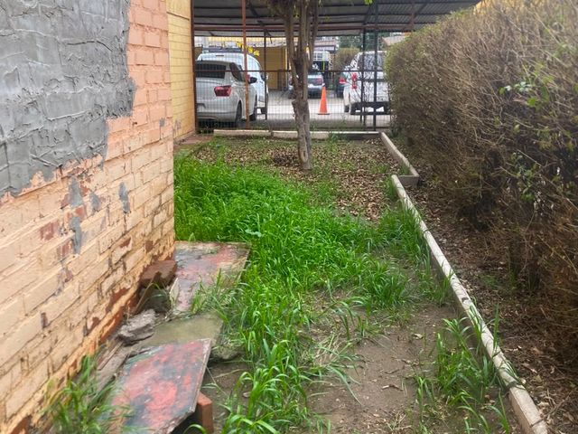 place photo 17