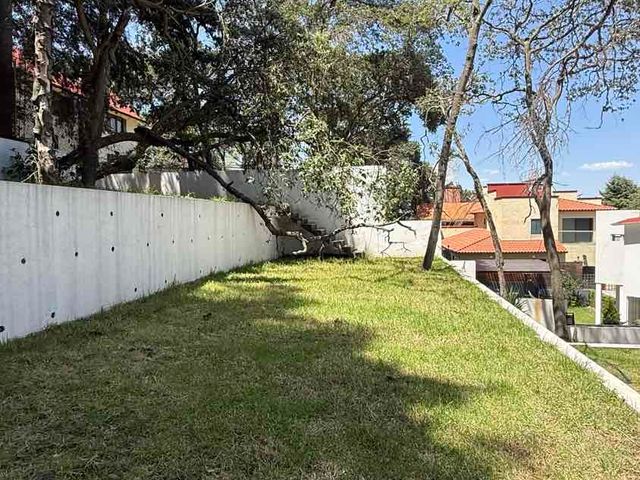 place photo 41
