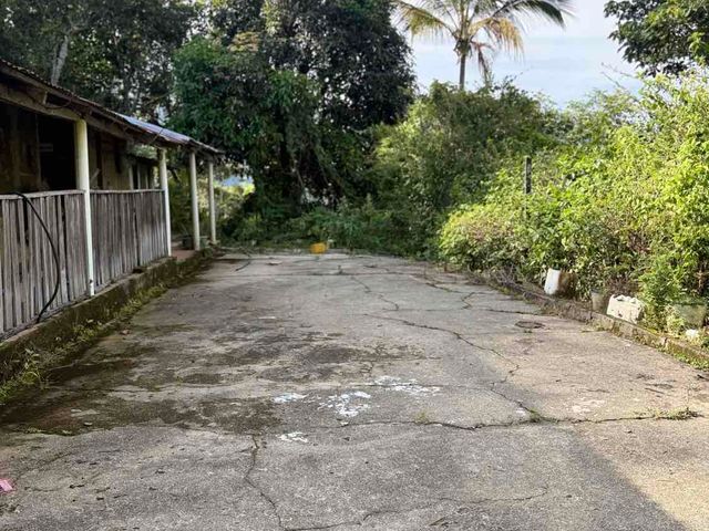 place photo 26