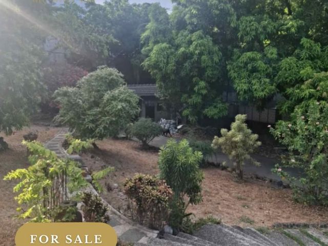 Old House and Lot For Sale in Saint Martin St, Pasig City.