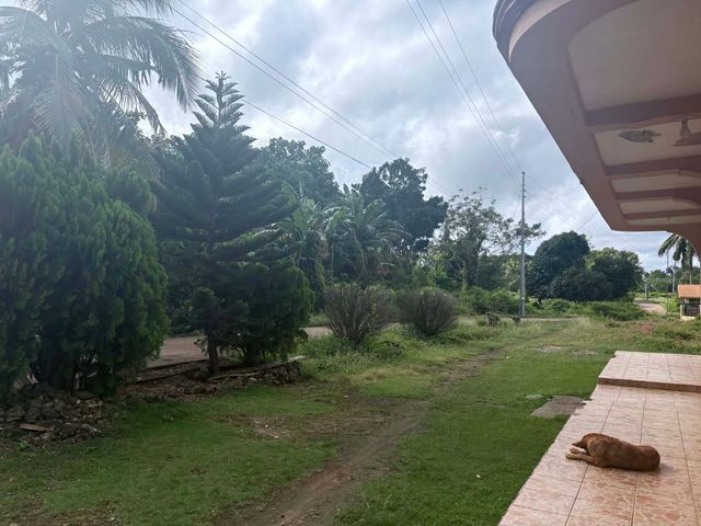 place photo 35