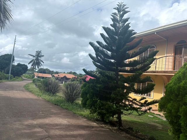 place photo 40