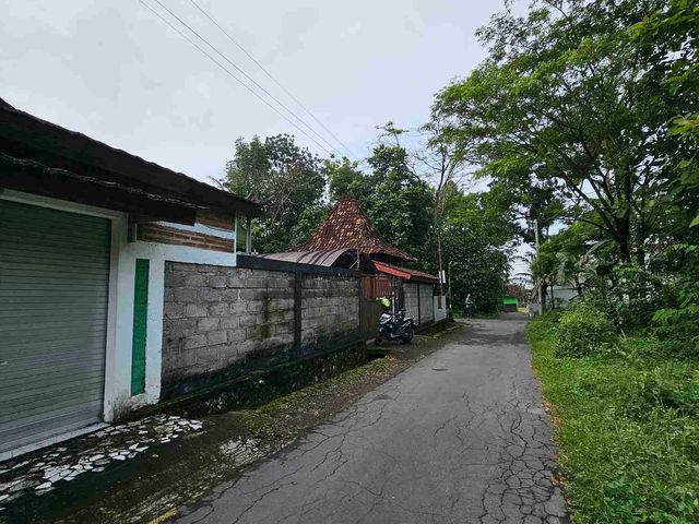 place photo 28
