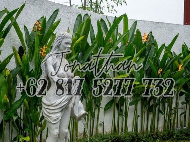 place photo 32
