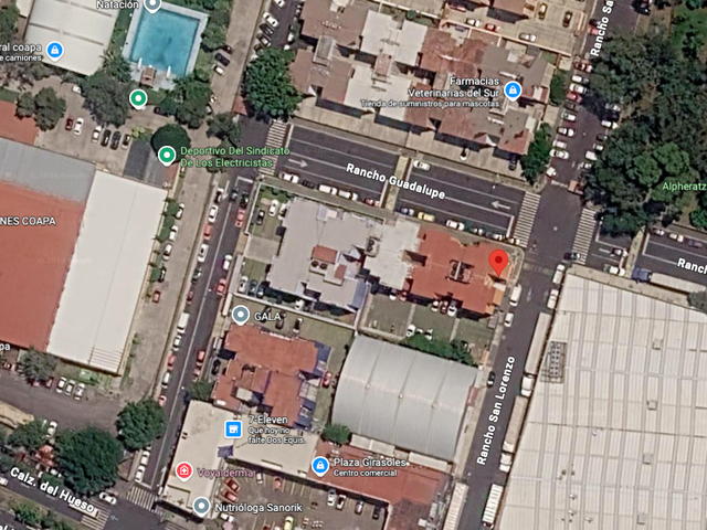 place photo 12