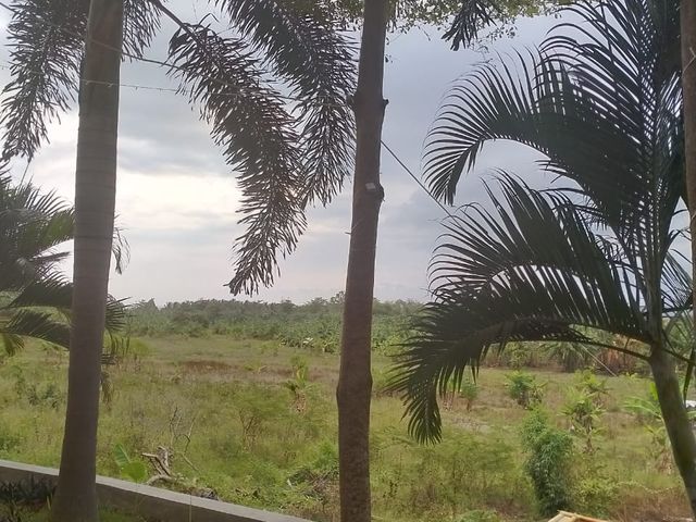 place photo 31