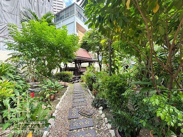 place photo 31