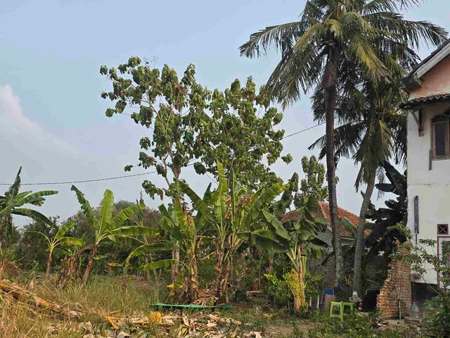 place photo 13