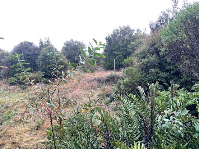 place photo 39