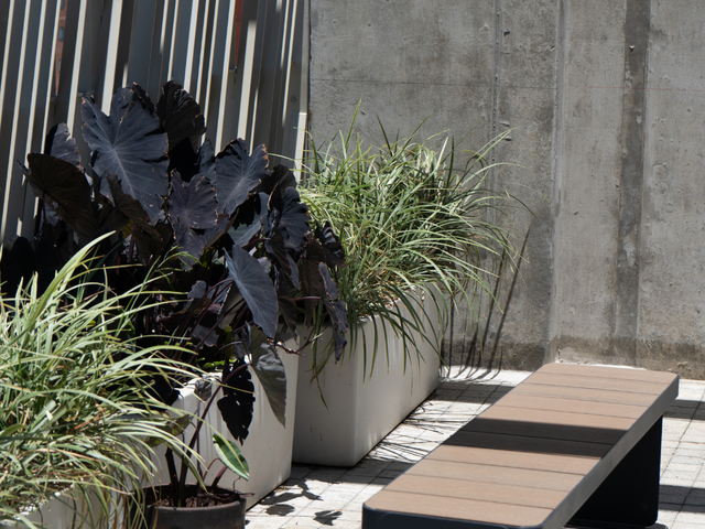 place photo 43