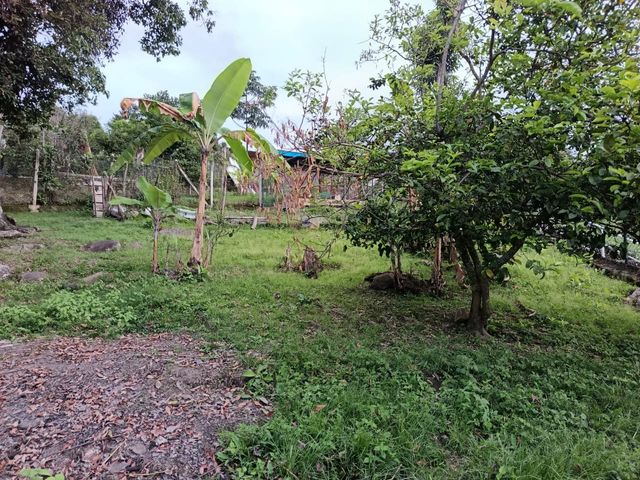 place photo 37