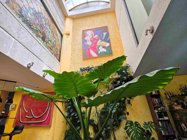 place photo 35
