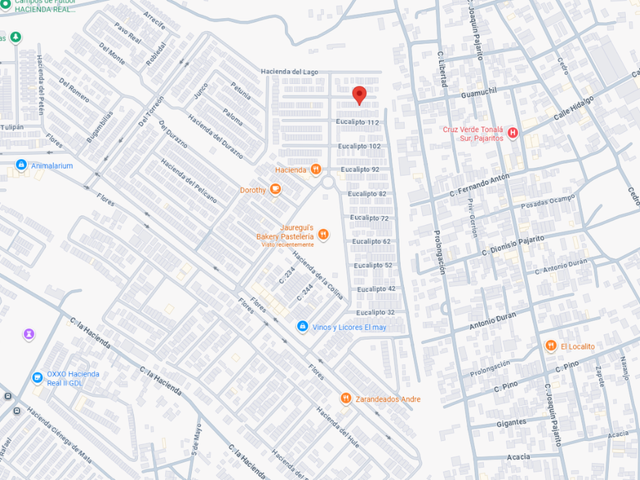 place photo 11