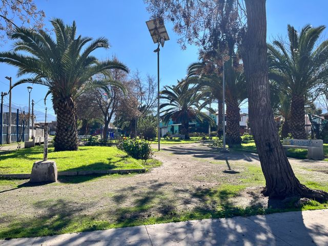 place photo 15