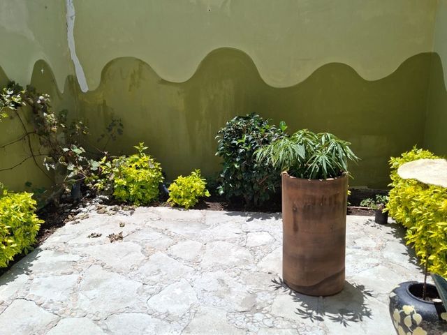 place photo 36