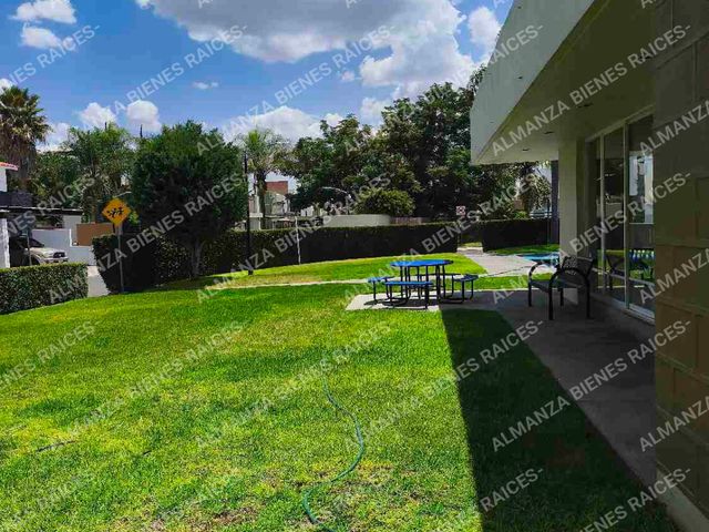place photo 42