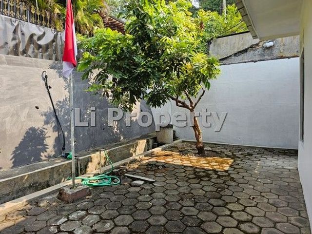 place photo 12
