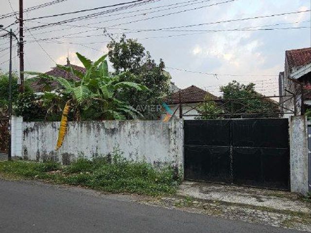 place photo 15