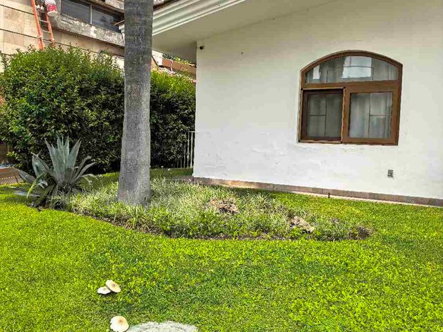 place photo 36