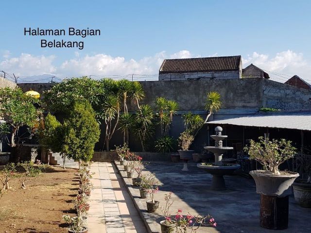 place photo 8