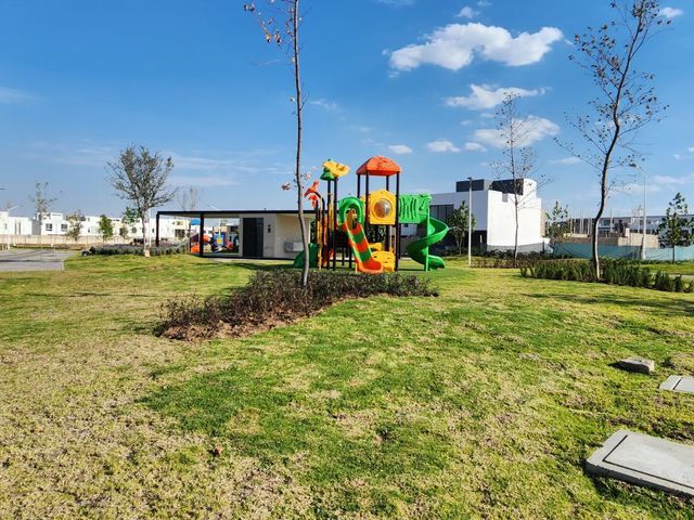 place photo 46