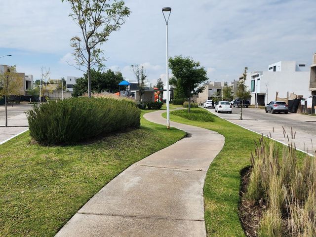 place photo 59