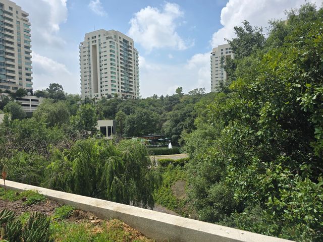 place photo 75