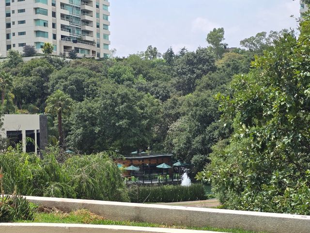 place photo 99