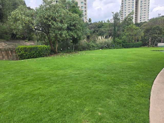 place photo 93