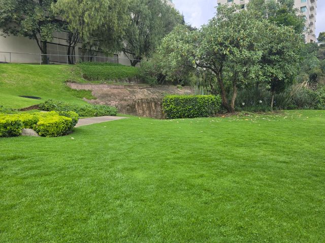 place photo 80