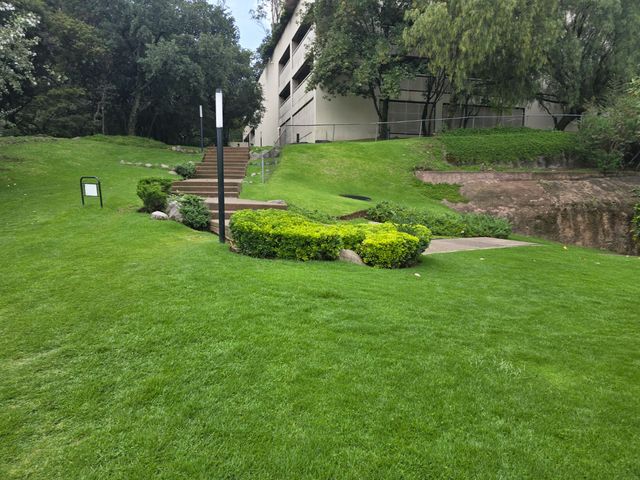 place photo 87