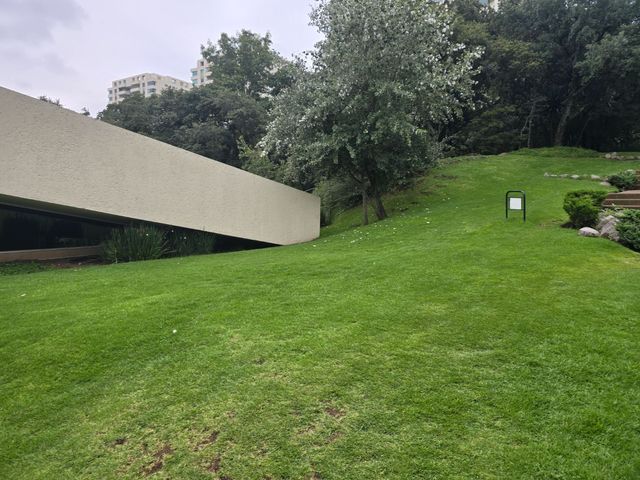 place photo 103