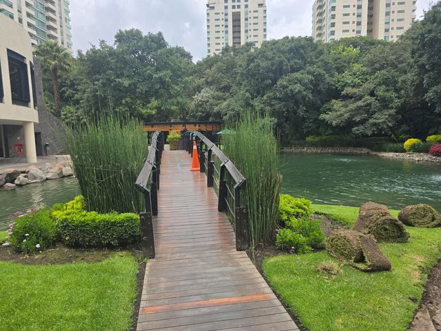 place photo 100