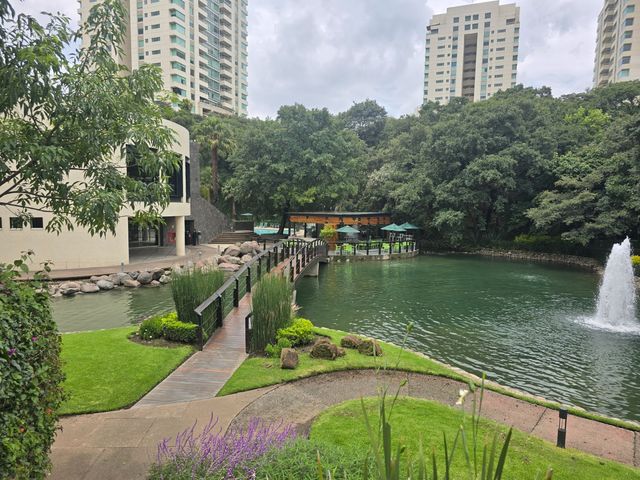 place photo 68