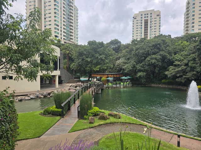 place photo 61