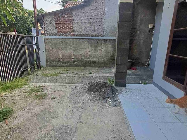 place photo 3