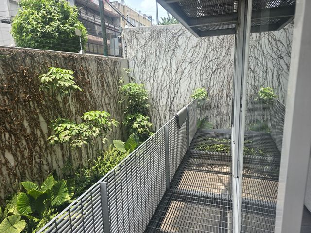 place photo 42