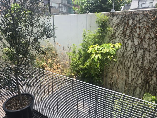 place photo 43