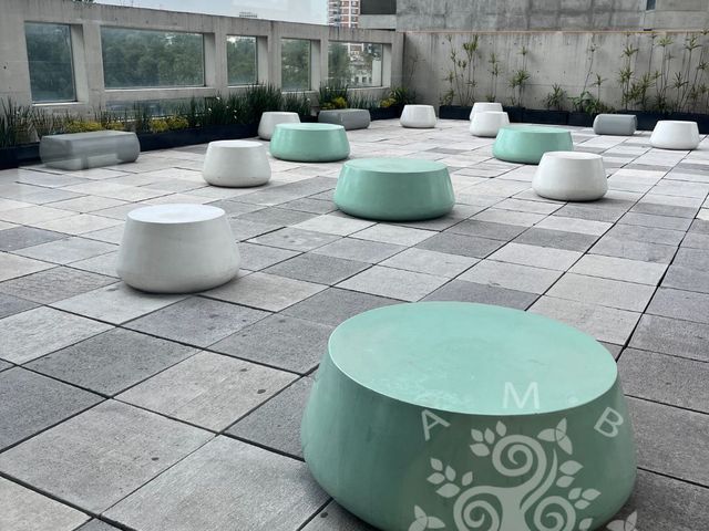 place photo 36