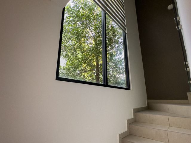 place photo 70