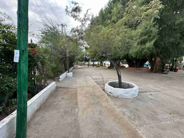 place photo 22
